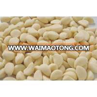 hot selling agricultural product frozen garlic with competitive price